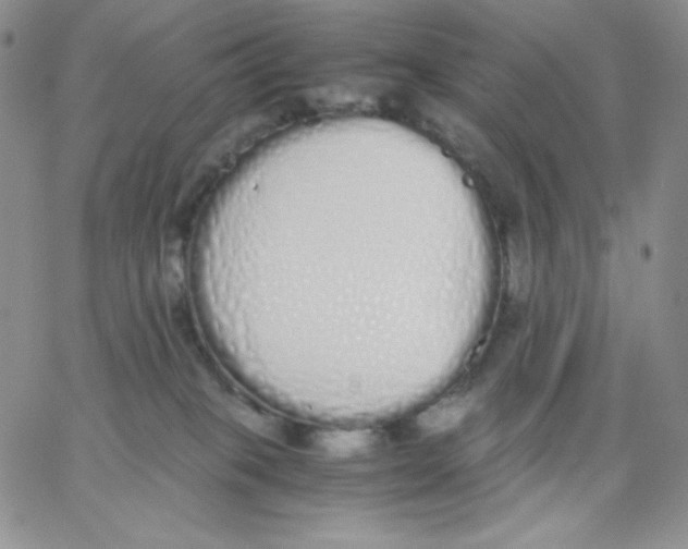 X0000062900085200602031843