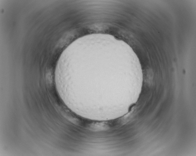 X0000062900086200602031843