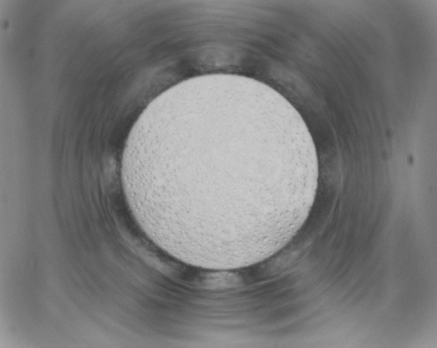 X0000062900087200602031843