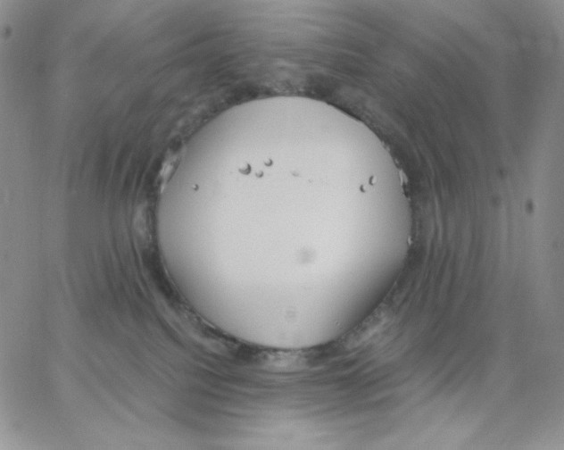 X0000062900088200602031843