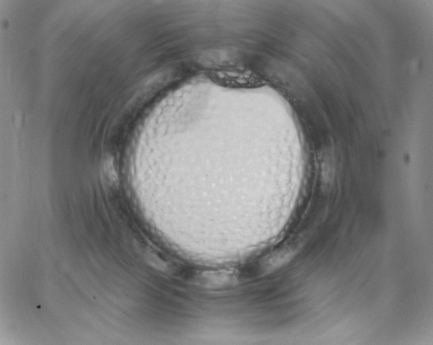 X0000062900089200602031843