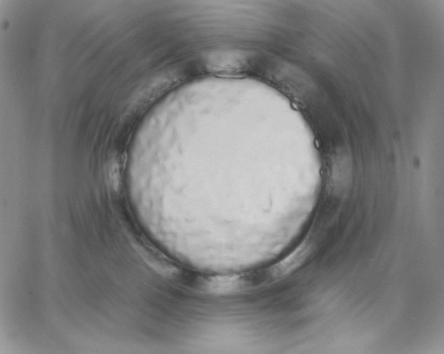 X0000062900090200602031843