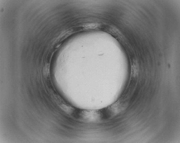 X0000062900093200602031843