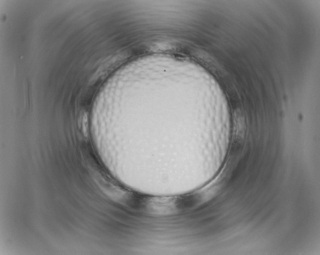 X0000062900094200602031843