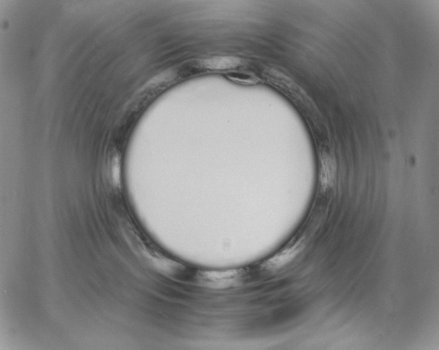 X0000062900095200602031843