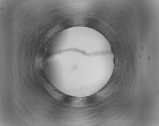 X0000062900096200602031843