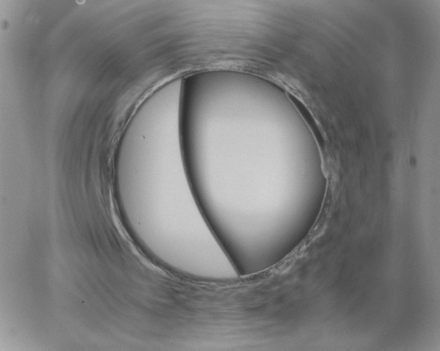 X0000062900097200602031842