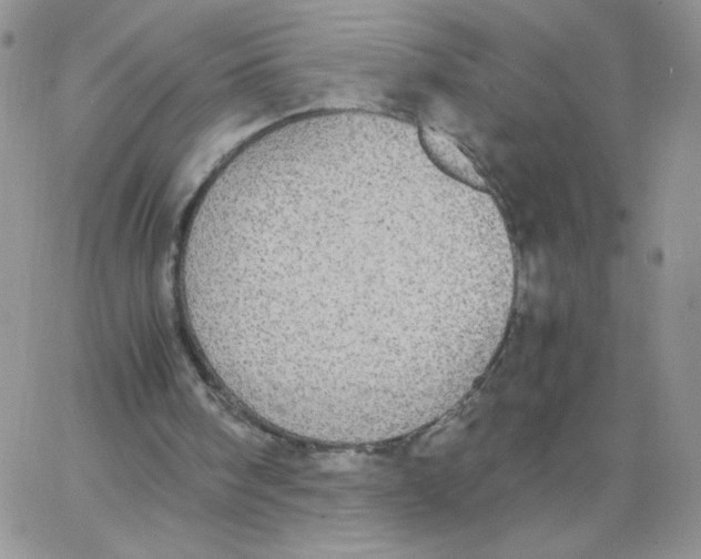 X0000062900098200602031842