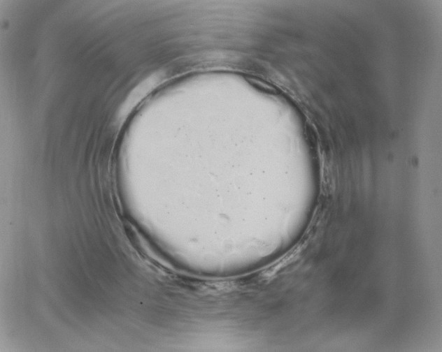 X0000062900099200602031842