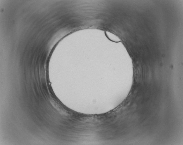 X0000062900100200602031842