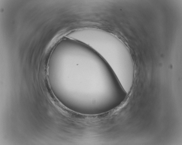 X0000062900101200602031842