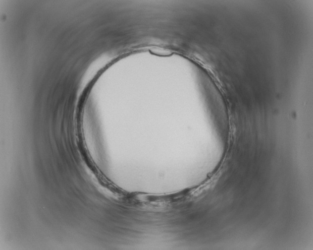 X0000062900102200602031842