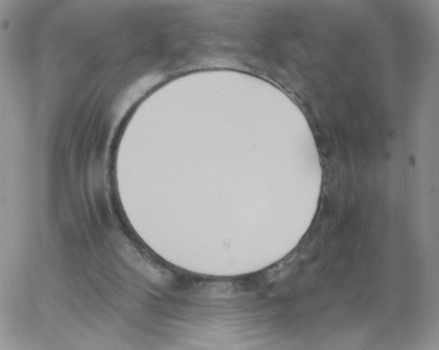 X0000062900104200602031842