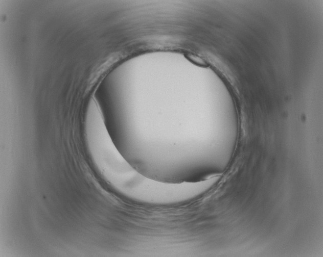 X0000062900105200602031842