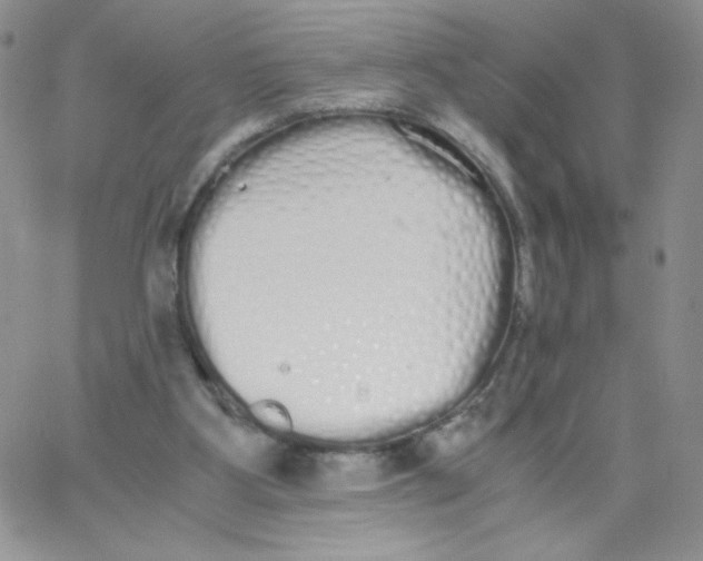 X0000062900107200602031842