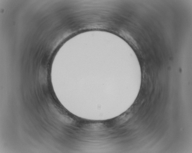 X0000062900108200602031842