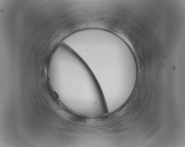 X0000062900109200602031842