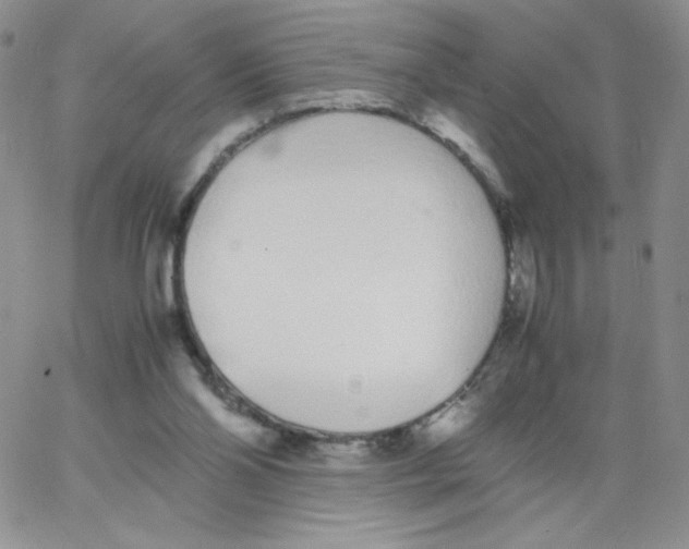 X0000062900110200602031842