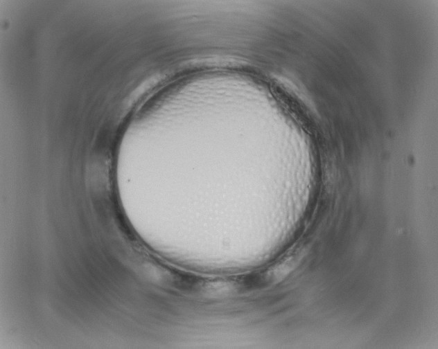 X0000062900111200602031842