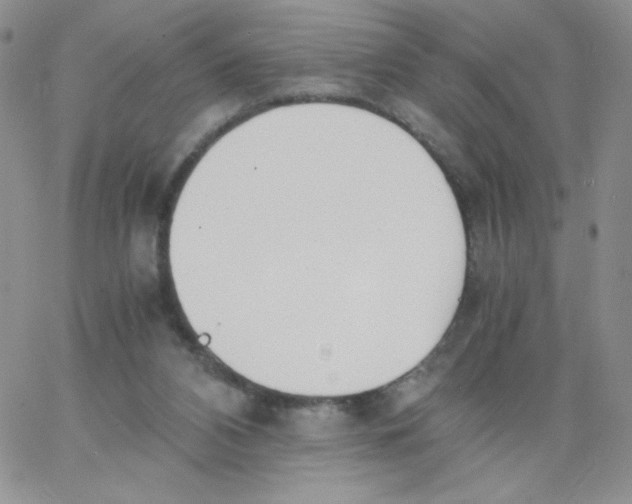 X0000062900112200602031842