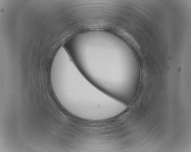 X0000062900113200602031842