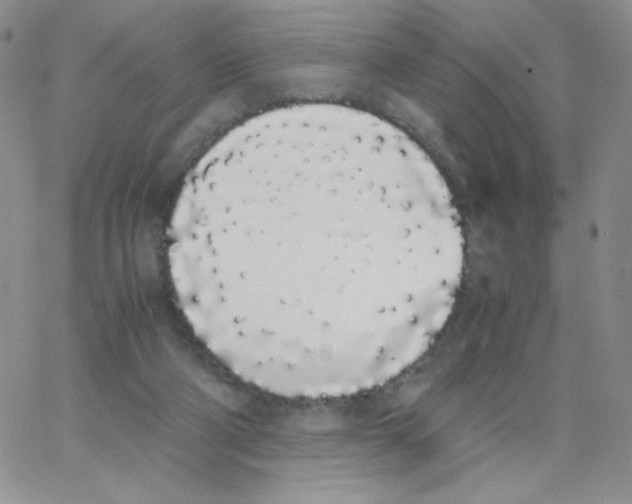 X0000062900114200602031842