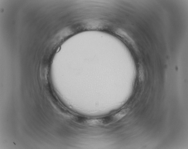 X0000062900115200602031842