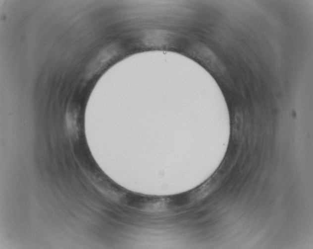 X0000062900116200602031842