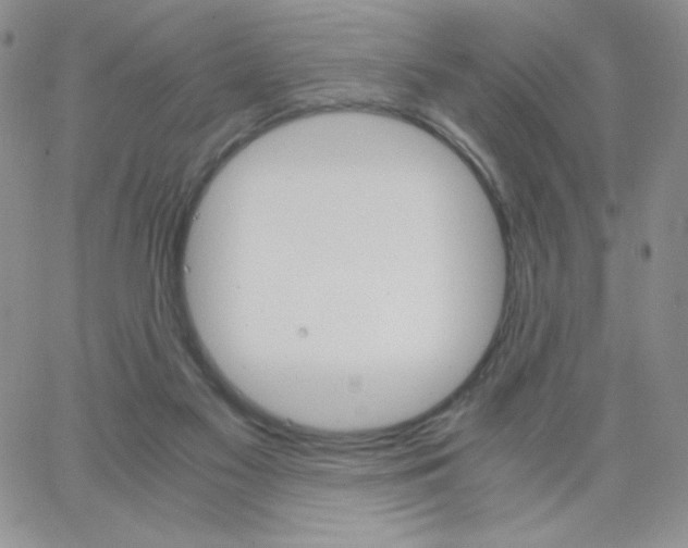 X0000062900117200602031842