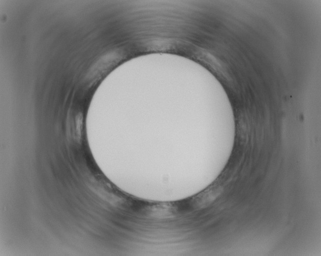 X0000062900118200602031842