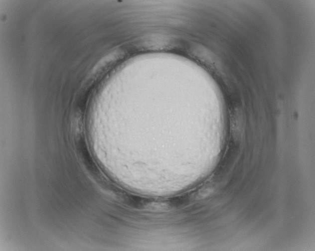 X0000062900119200602031842