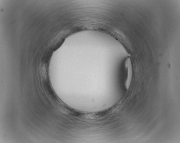 X0000062900121200602031842