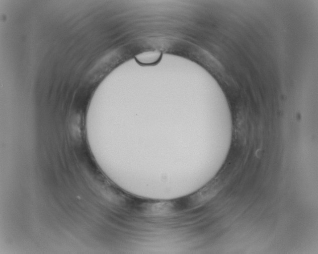 X0000062900122200602031842