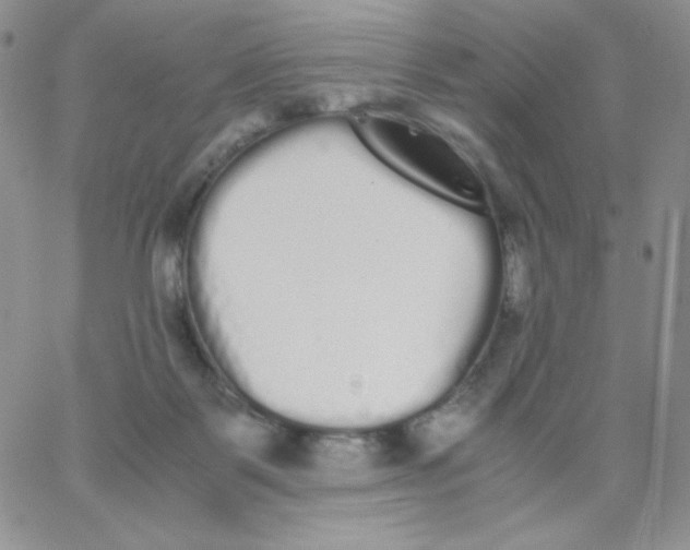 X0000062900123200602031842