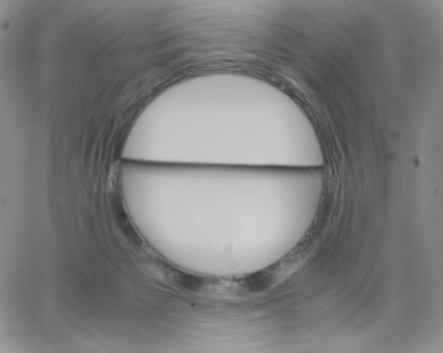 X0000062900125200602031842