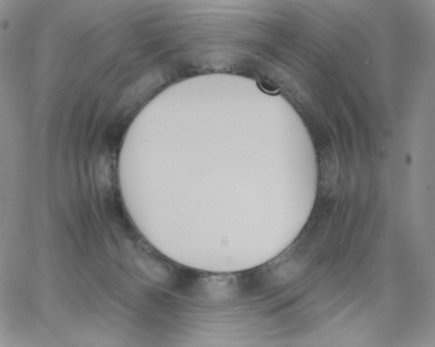 X0000062900126200602031842