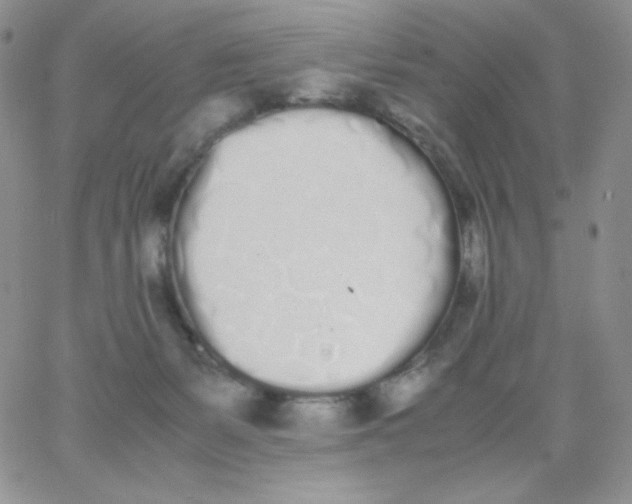 X0000062900127200602031842