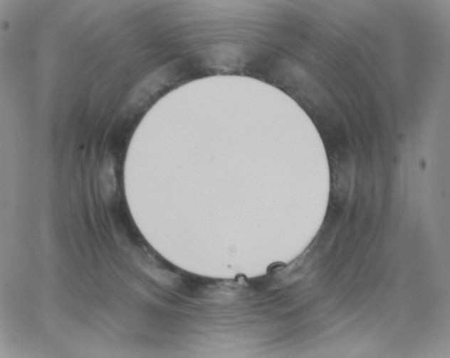 X0000062900128200602031842