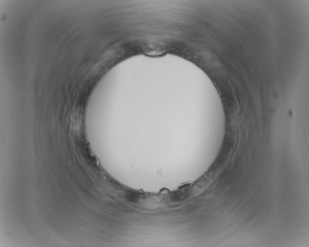 X0000062900129200602031842