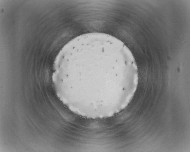 X0000062900130200602031841