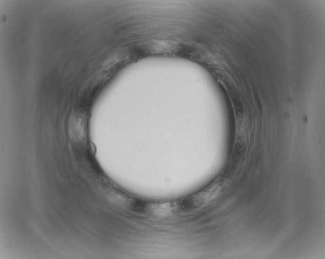 X0000062900131200602031841