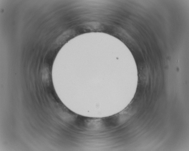 X0000062900132200602031841