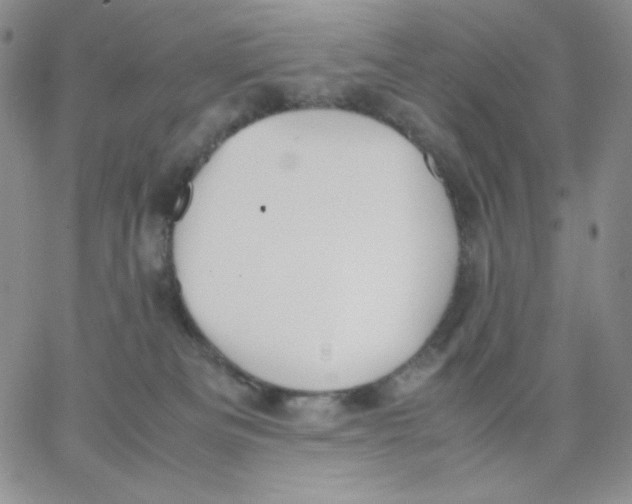 X0000062900133200602031841