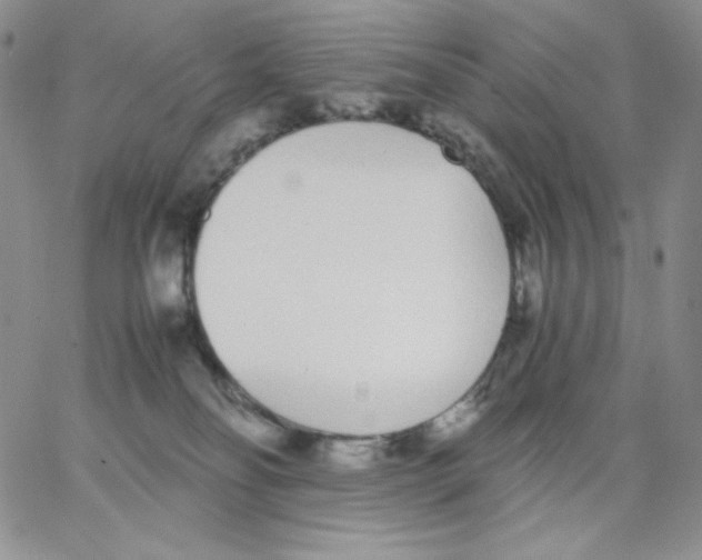 X0000062900134200602031841