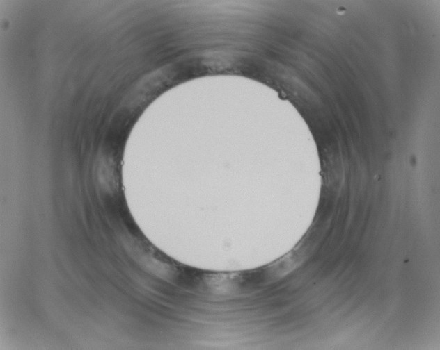 X0000062900136200602031841