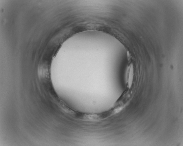 X0000062900137200602031841