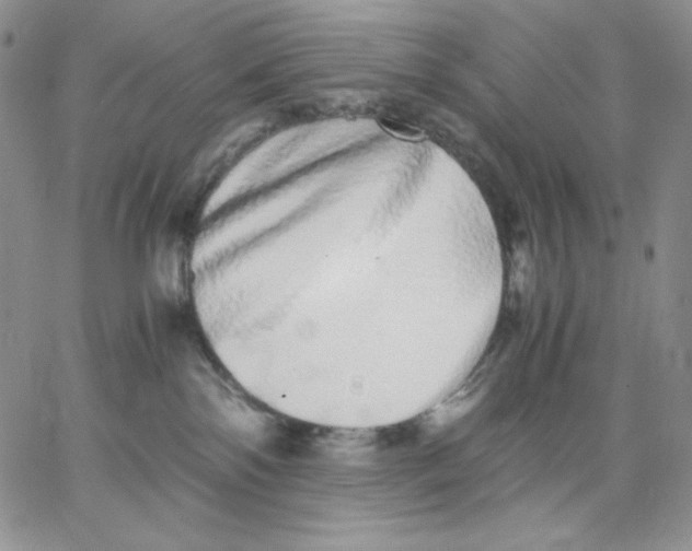 X0000062900138200602031841