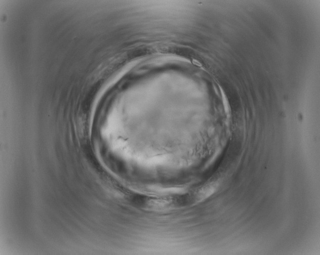 X0000062900139200602031841