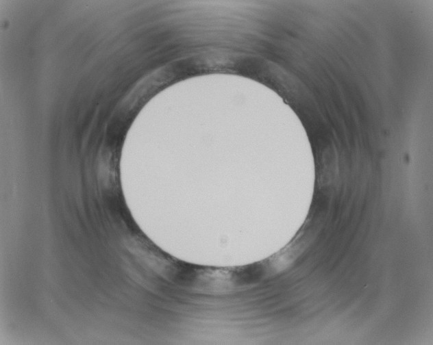 X0000062900140200602031841