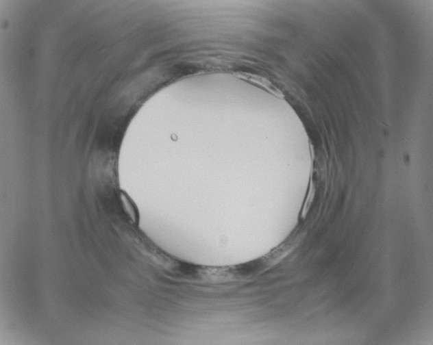 X0000062900141200602031841